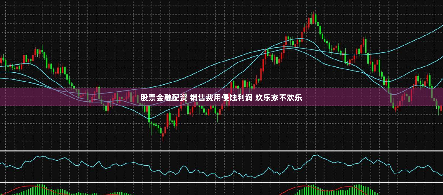 股票金融配资 销售费用侵蚀利润 欢乐家不欢乐