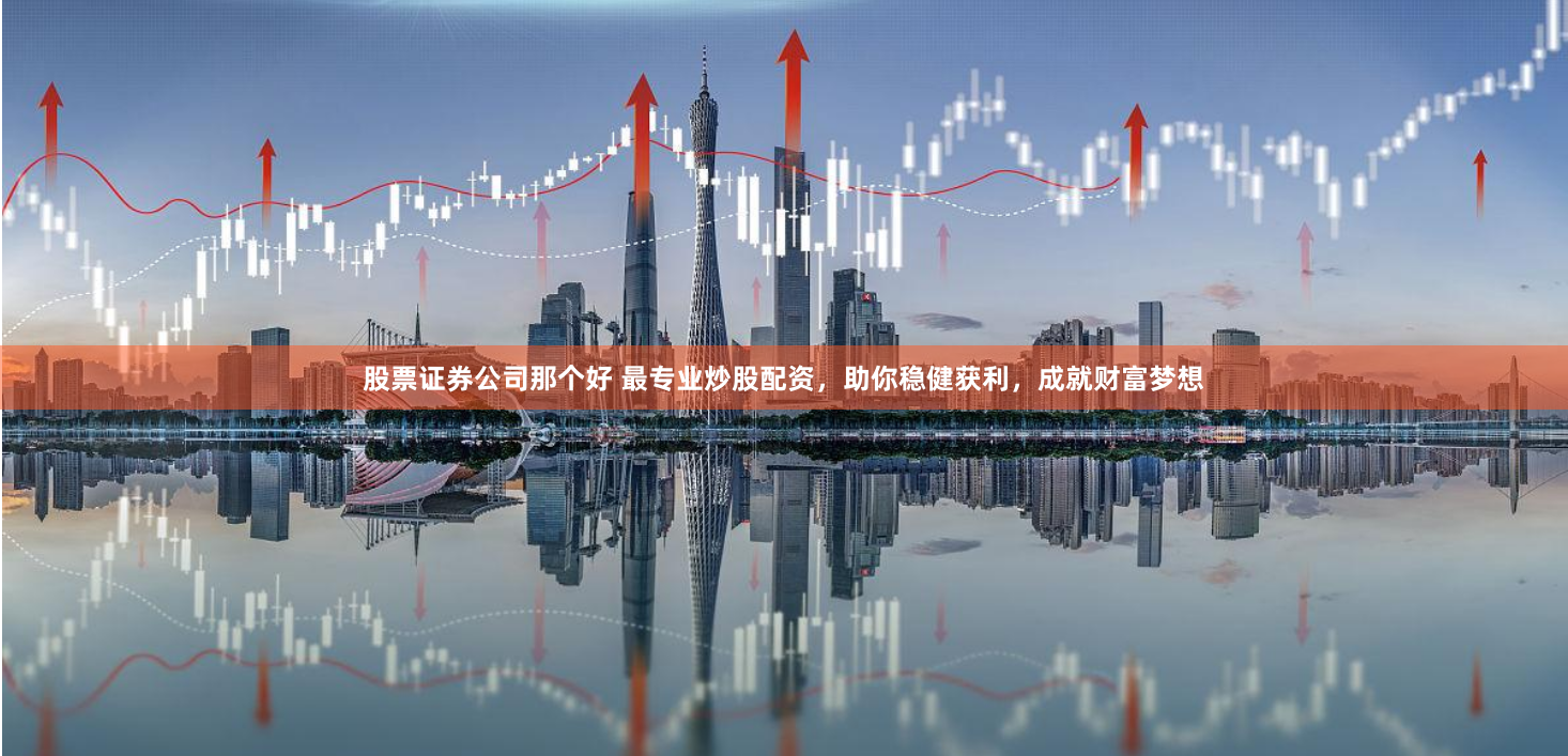 股票证券公司那个好 最专业炒股配资，助你稳健获利，成就财富梦想